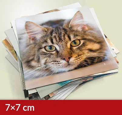 Négyzet alakú mágnesek 7×7 cm